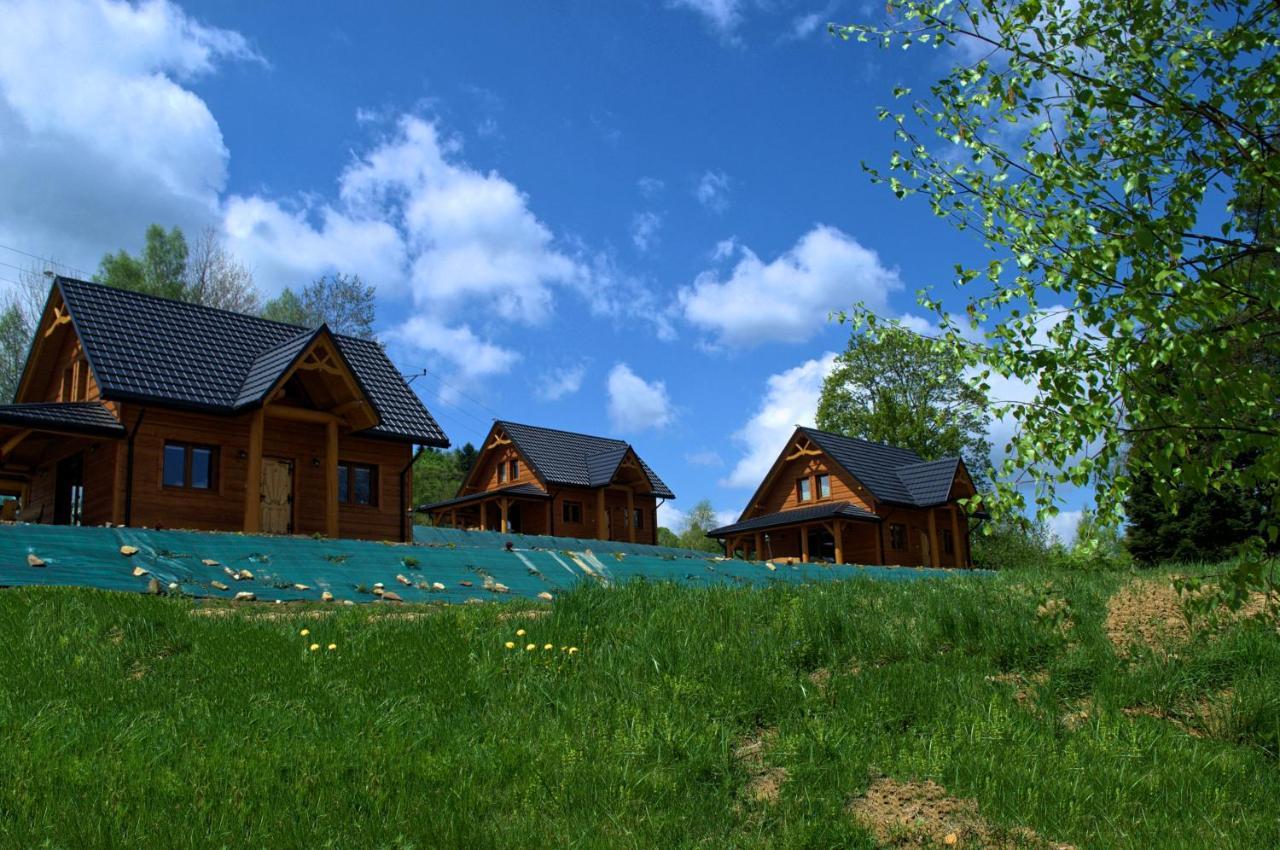 Villa Bieszczadzkie Dworki Ropienka Exterior foto