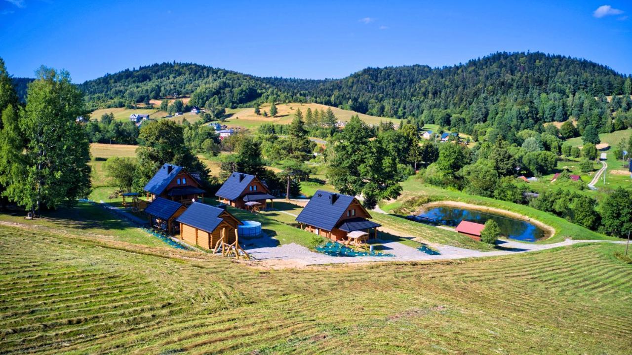 Villa Bieszczadzkie Dworki Ropienka Exterior foto