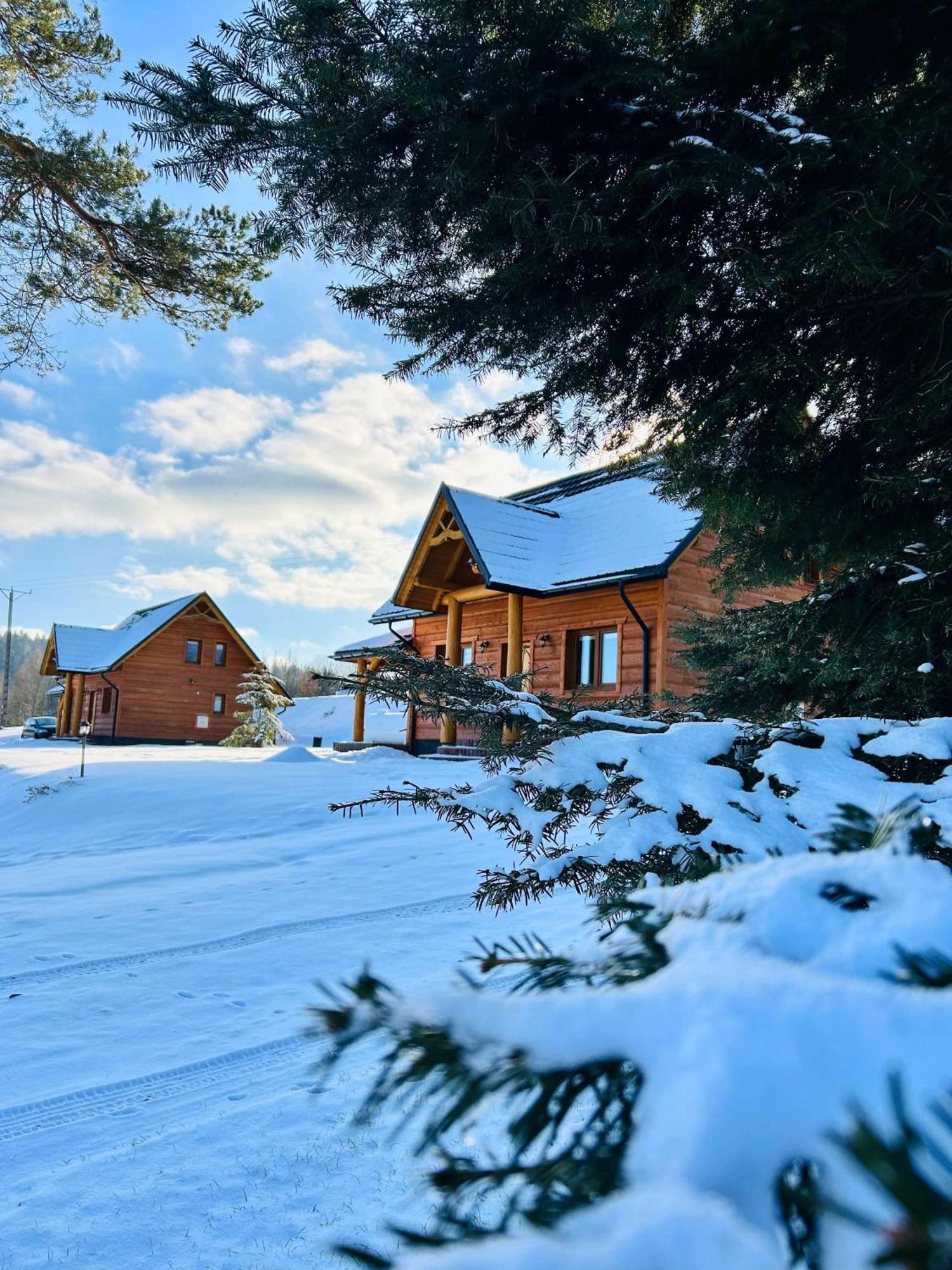 Villa Bieszczadzkie Dworki Ropienka Exterior foto